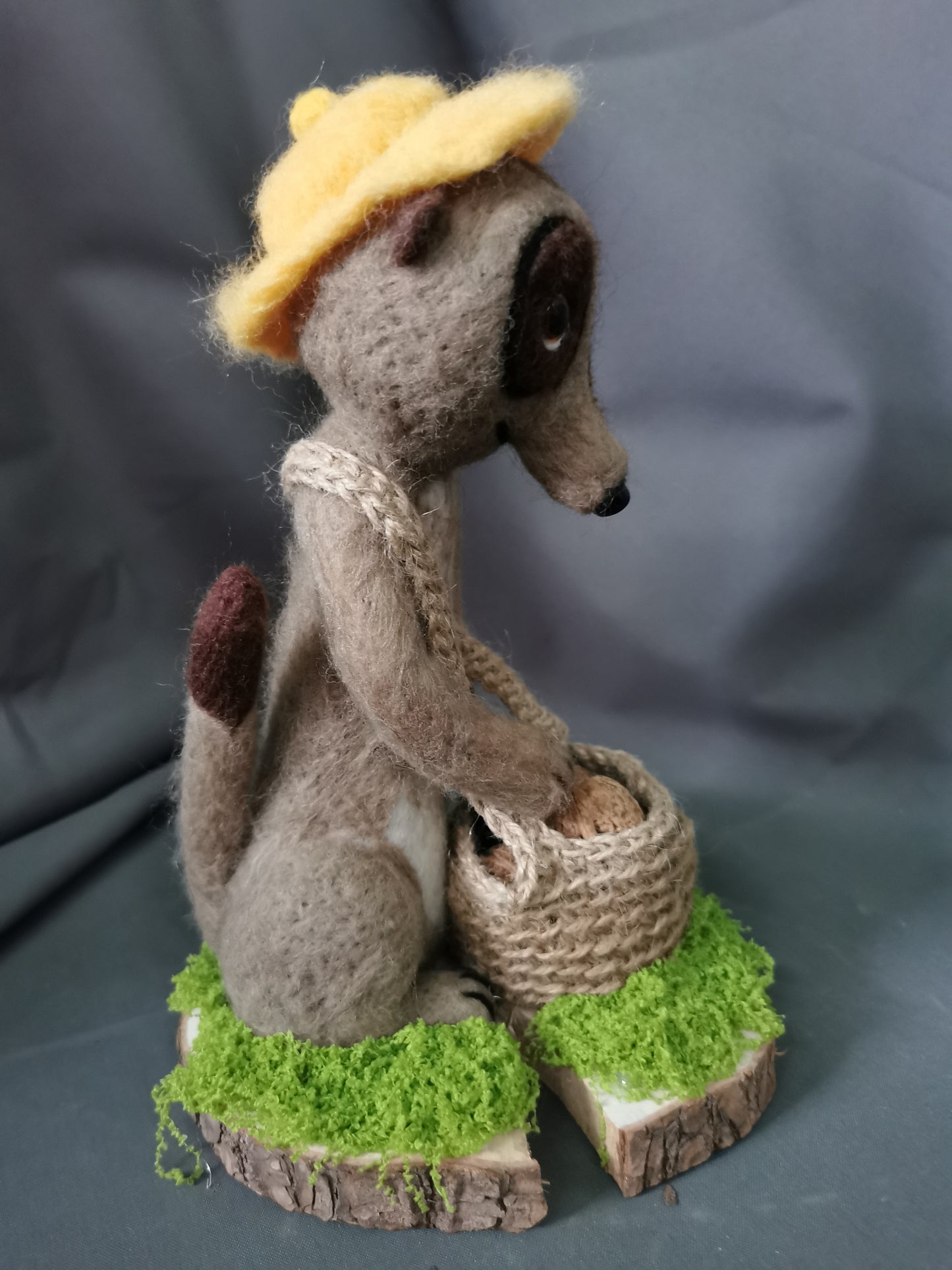 Erdmännchen mit Wallnüssen im Korb