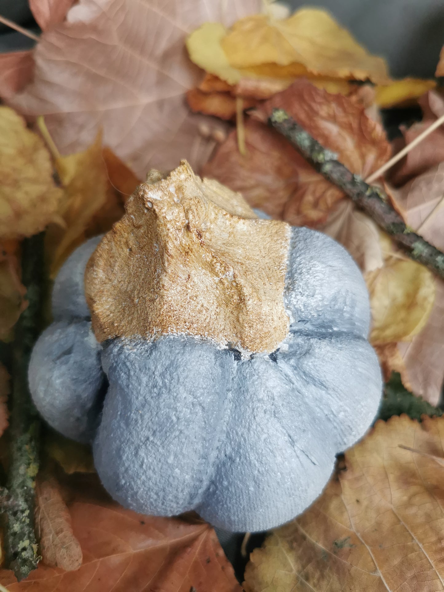 Betonkürbis grau Baby-Bear