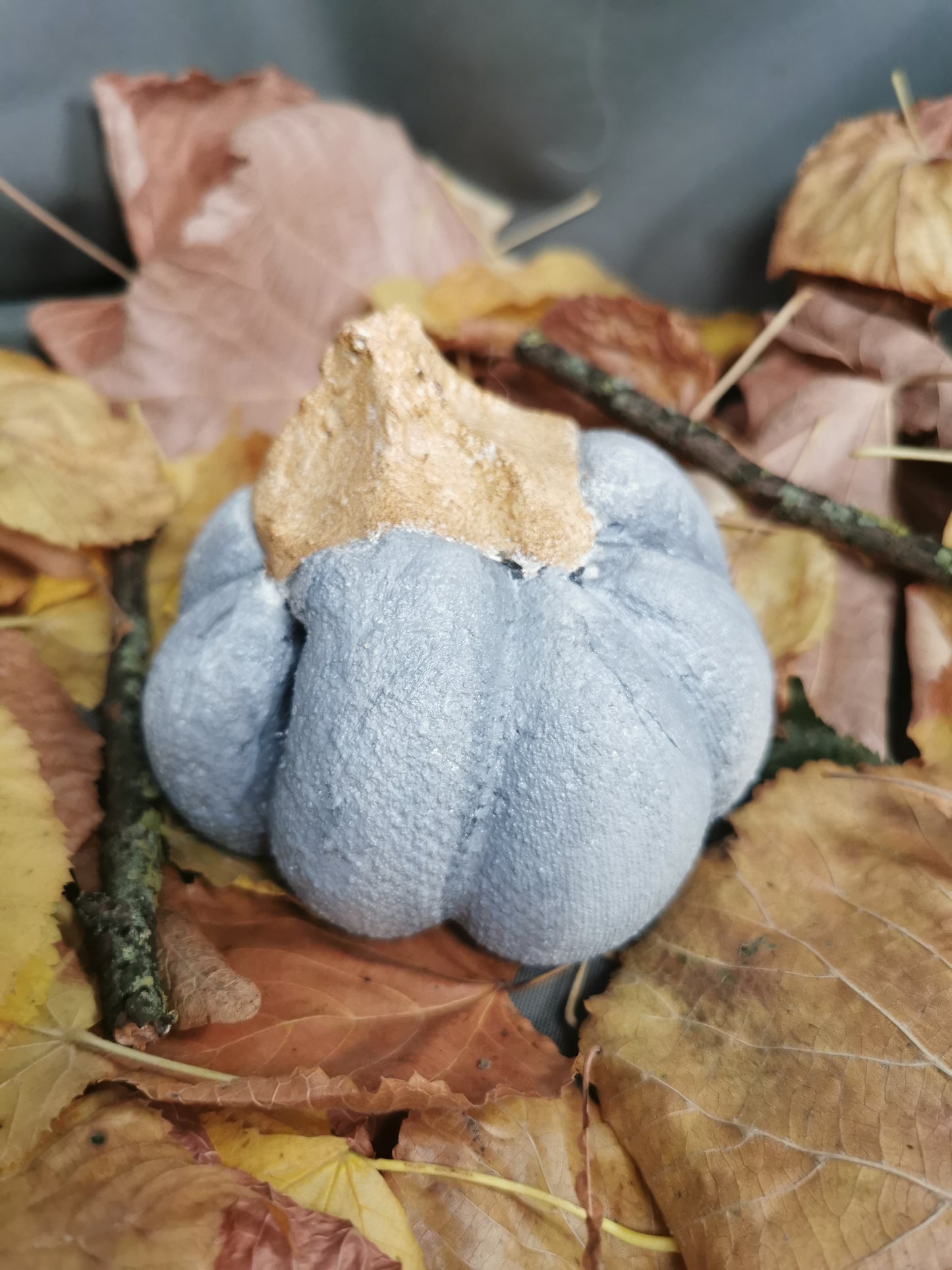 Betonkürbis grau Baby-Bear