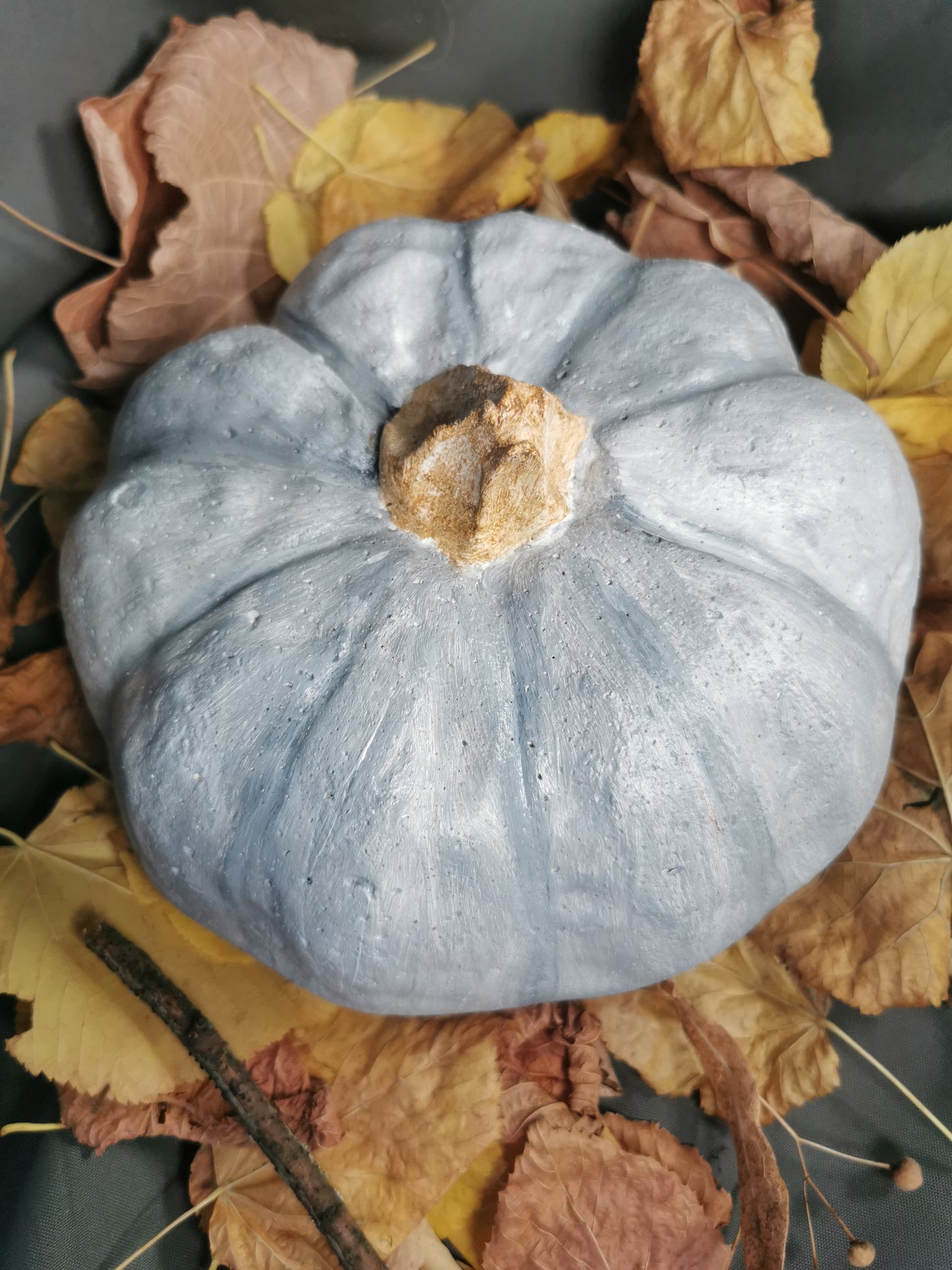 Betonkürbis blue Ballet