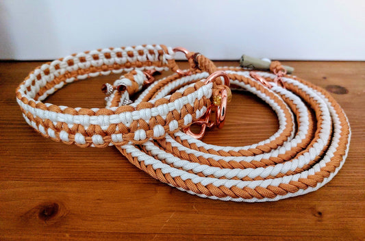 Handgefertigte Hundeleine + Zug-Halsband "Goldpfote"
