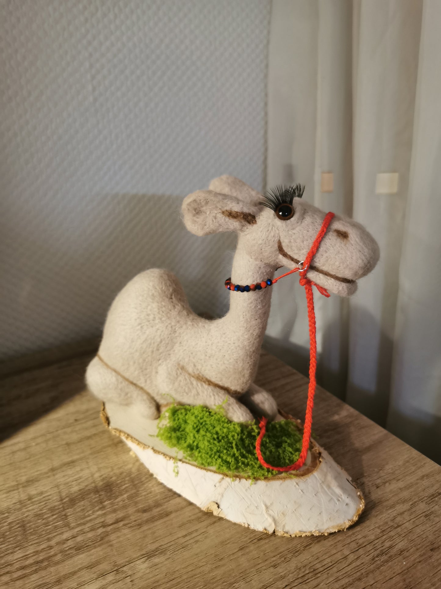 gefilztes Dromedar