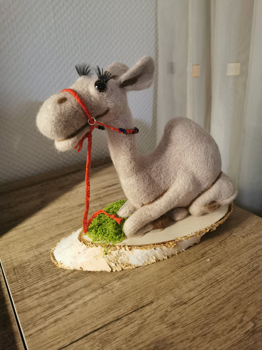 gefilztes Dromedar