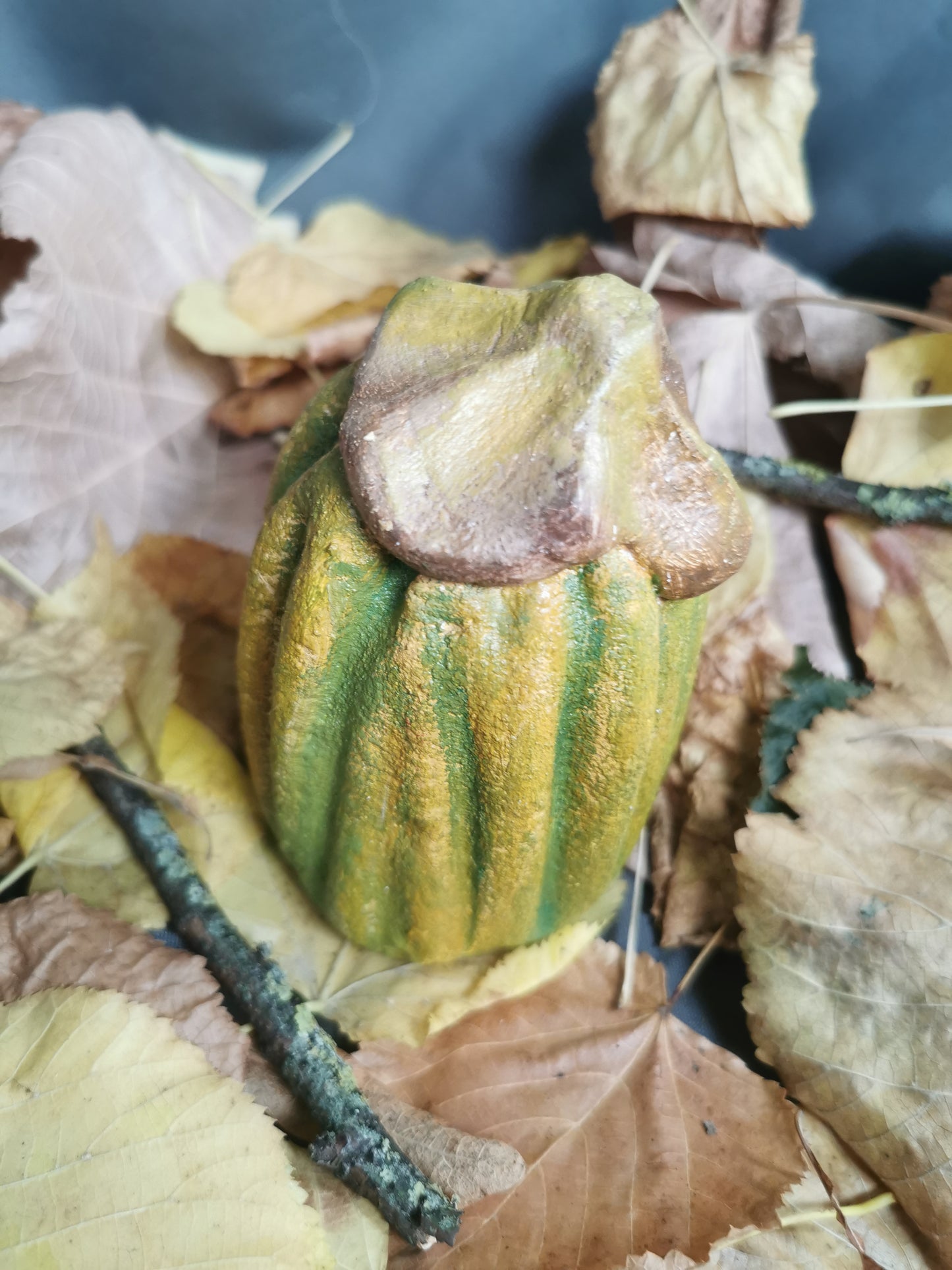 Betonkürbis Curbutita