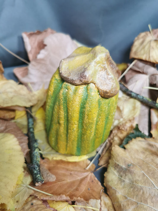 Betonkürbis Curbutita