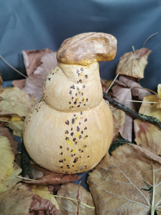 Betonkürbis Butternut