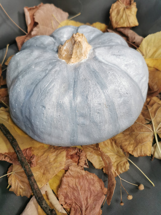 Betonkürbis blue Ballet