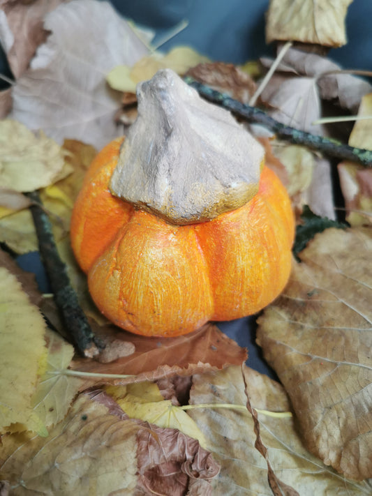 Betonkürbis Baby-Bear